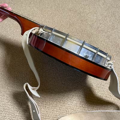 Blueridge Banjo 5-string Remo Drum Head w/ Hard Case image 7