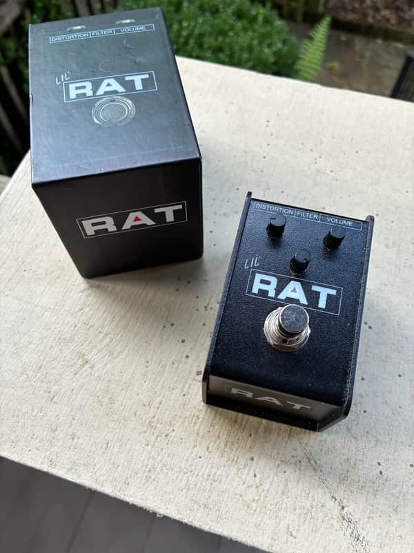ProCo Lil Rat