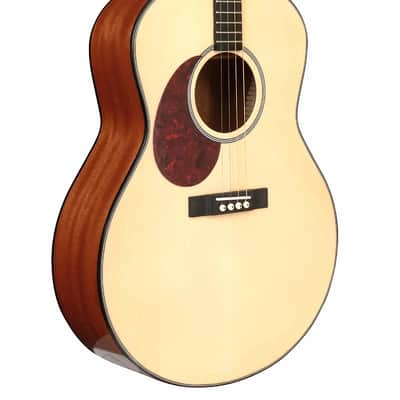 Gold Tone TG-10/L Spruce Top Mahogany Neck 4-String Acoustic Tenor Guitar with Gig Bag For Left Handed Players image 1