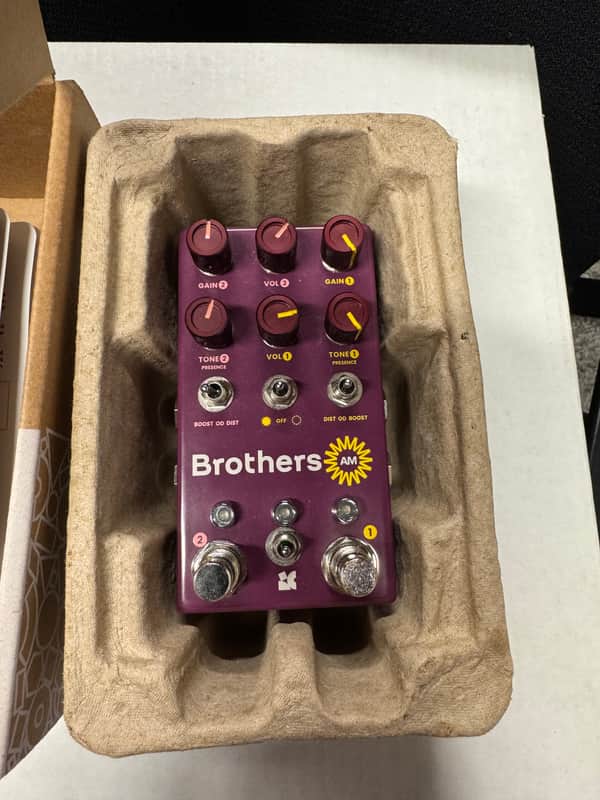 Chase Bliss Audio Brothers AM