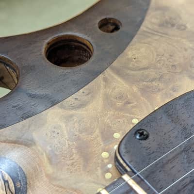 Ray Vincent Shell back guitar 2023 - Shellac and oil image 9