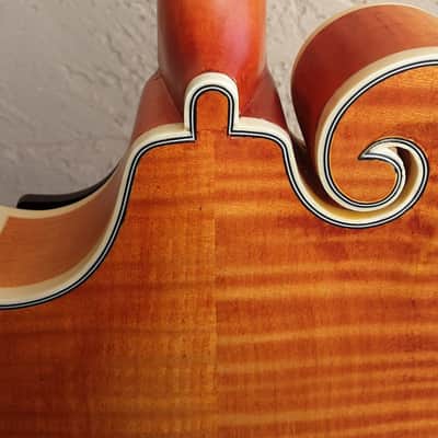 Epiphone MM-50E Professional Mandolin 2010s - Vintage Natural image 16