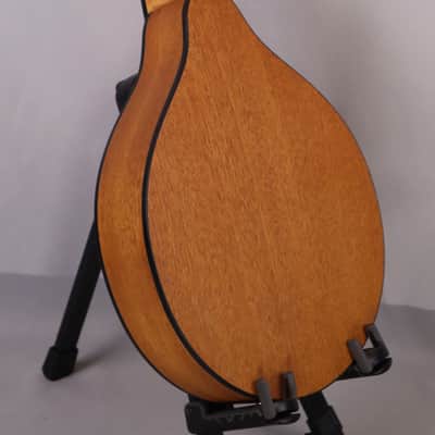 Eastman PCH-M104 Mandolin: Solid Sitka Spruce Top, Laminate Mahogany back and sides 2026 image 10
