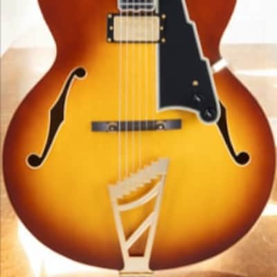 D'Angelico Excel Exl 1 Archtop Single Cutaway Hollow Body, Dark Iced Tea Burst * w/Case DAEEXL1DITBGT image 4