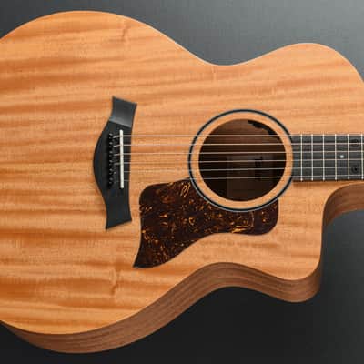 Mahogany Top Taylor 200 Series DLX | Reverb