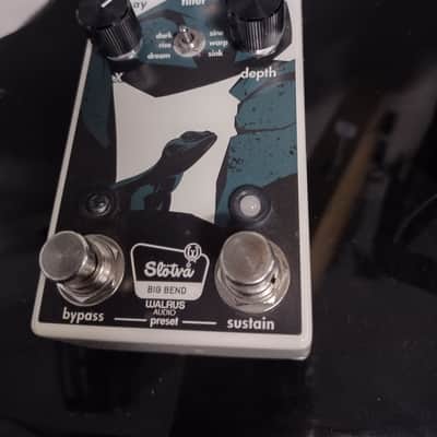 Walrus Audio Slötvå Multi-Texture Reverb Limited Edition - National Park Series 2021 - National Park image 1