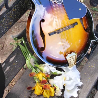 Washburn M3SWK Bluegrass F-Style Mandolin with Hardshell Case- Sunburst image 23