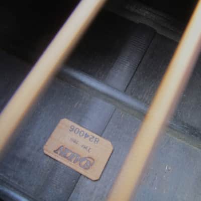 Daion The Year Series 79B Dreadnought Guitar 1979, Japan, Black, Case image 9