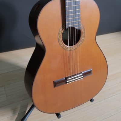 Joshia de Jonge (Canada) Classical Guitar 2014 (Concert Model) image 12