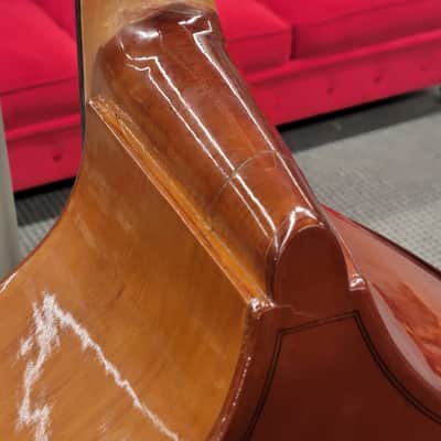Strunal 1/2 Size Upright Bass With Gig Bag image 14