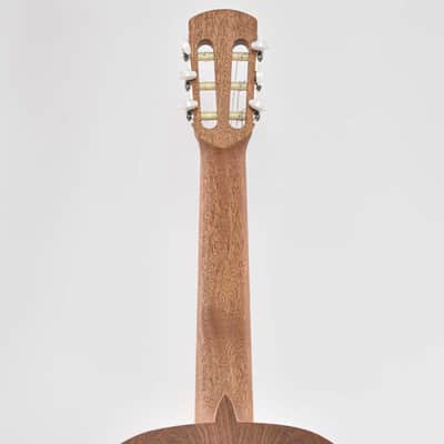 Alhambra LAQANT College 2 - Classic Guitar image 8