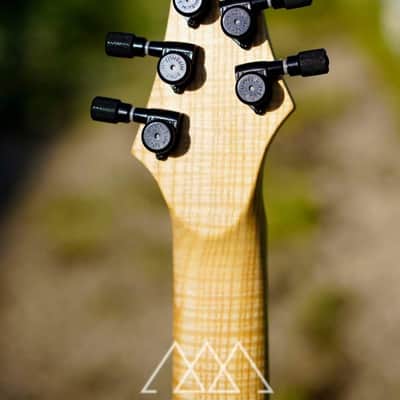 Vergnaud Bariton Djent'o'Caster 2020 (Grey Smoke Purple) image 14