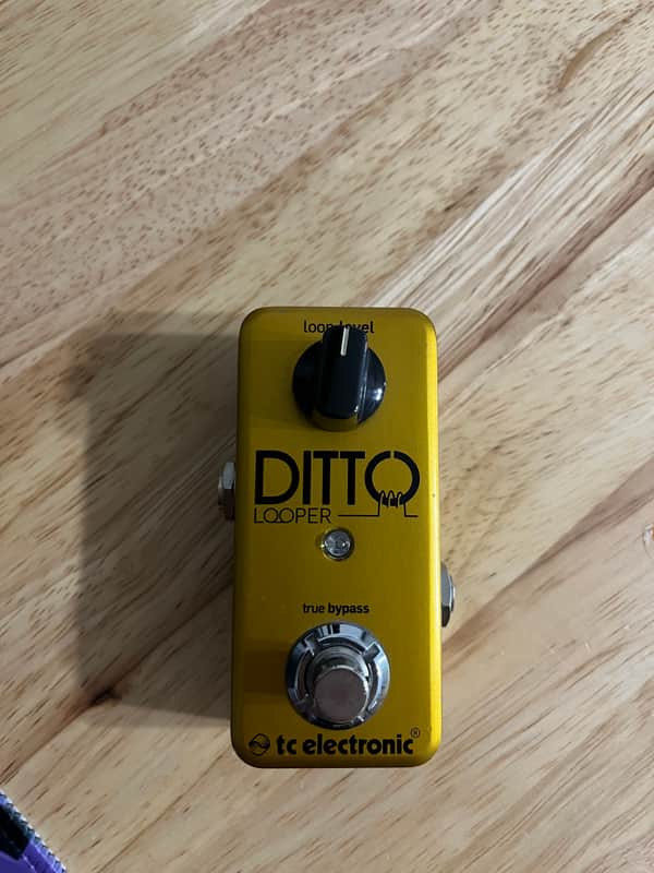 TC Electronic Ditto Looper Limited Edition 2010s - Gold image 1