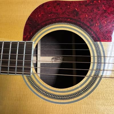 Washburn D21S - Spruce/Rosewood image 10