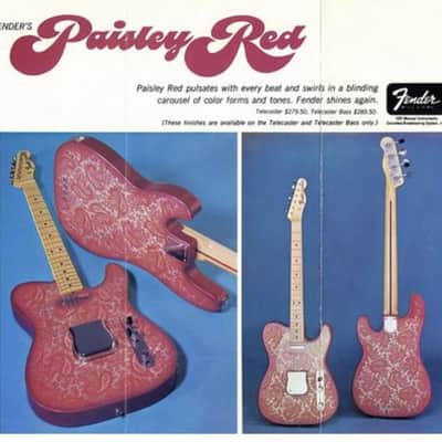 Fender Telecaster Bass 1968 - Paisley image 25