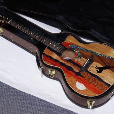 LUNA Vista Stallion acoustic electric guitar - Exotic Wood Top w/ Hard Shell Case image 1