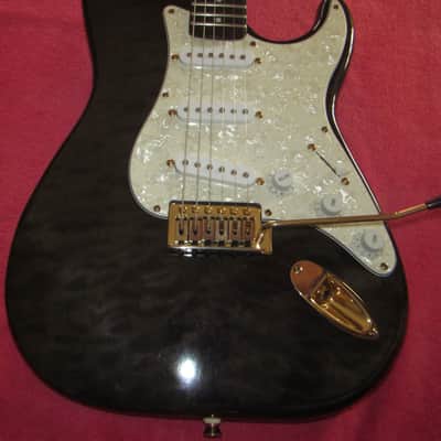 Arbor Strat style guitar 2000's? - Charcoal quilt w/Padded gig bag. image 2