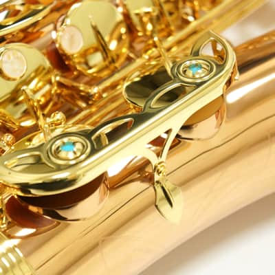 【Special price】 Yanagisawa T-WO2[TWO2] Bronze Tenor Saxophone image 6