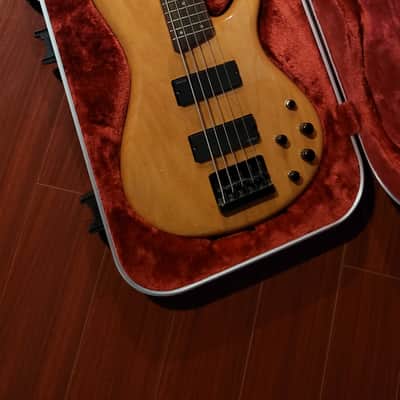 Ibanez SDGR 2015  Natural Wood Grain image 1