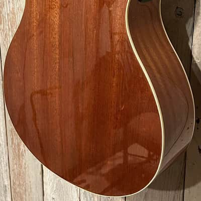 NEW Luna Oracle Rose Folk Acoustic-Electric Guitar, Support Small Business and Buy It Here! image 12