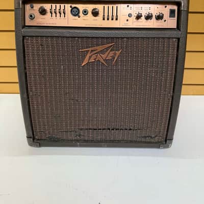 Peavey E110 Ecoustic 1x10