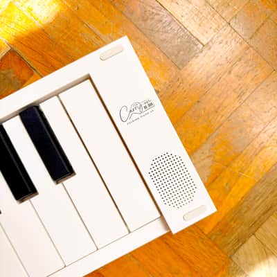 Blackstar Carry-On Folding Piano 49-Key Portable Digital Piano – Foldable, USB-MIDI, 128 built-in sounds! Mint condition with extra power supply! Bild 4