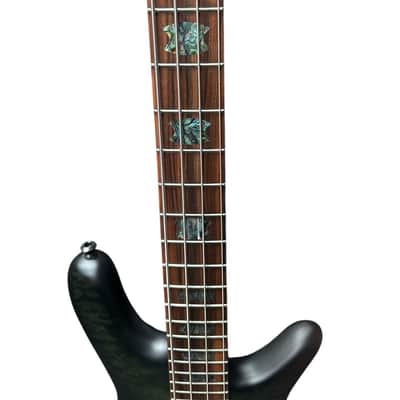 Spector USA NS-2, Haunted Moss / Pau Ferro *On Order, ETA November 2026 image 5