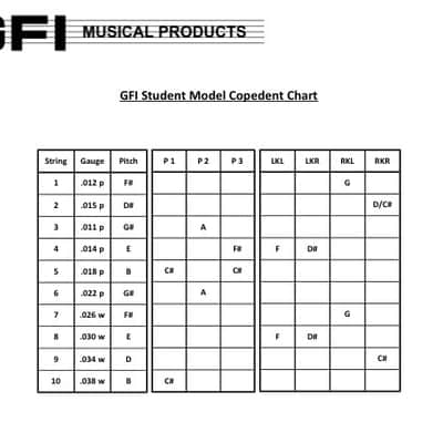 GFI S-10 SM 3x9 Standard Emmons E9 Pedal Steel Guitar 2017 Black image 3