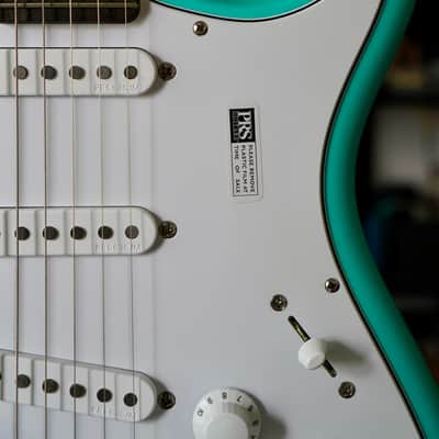 BRAND NEW PRS Limited Edition Silver Sky Wild Blue 2026 image 3