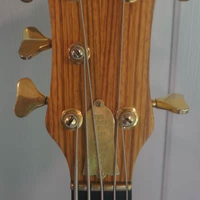 Phil Jones Custom Alembic Omega 1988 image 5