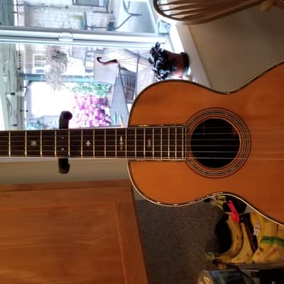 Martin 1-42 1904 Refinished  and Refretted in 1977 image 1