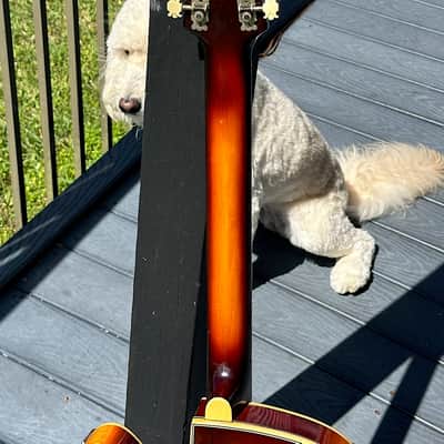 Framus Billy Lorento 5/120 Archtop Electric Guitar 1959 - 1 of a