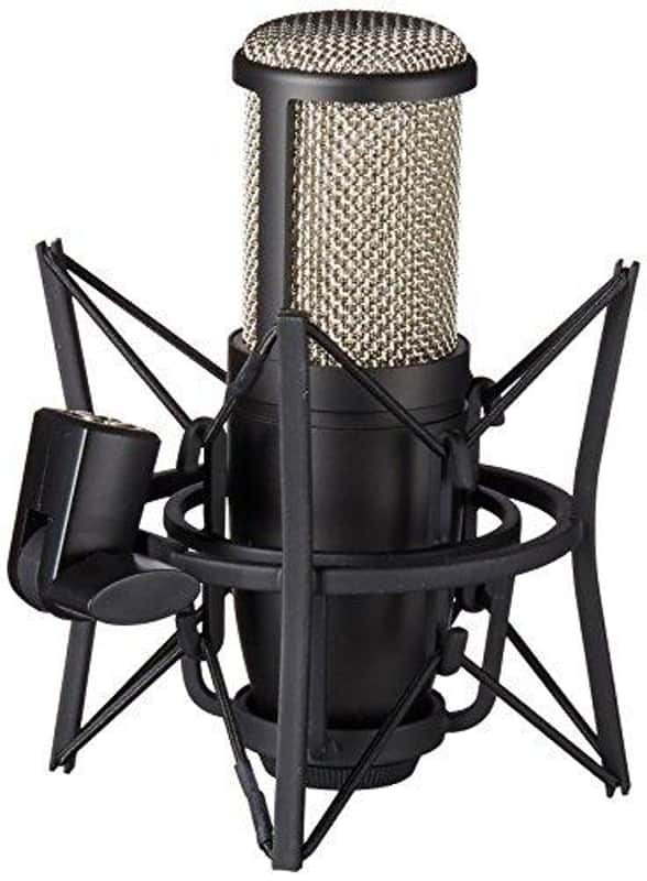 AKG P220 Large Diaphragm Cardioid Condenser Microphone | Reverb