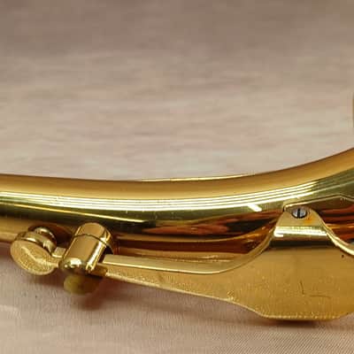 Mendini by Cecilio MAS-L Alto Saxophone image 16