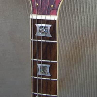 ALDEN Guitar Flyinf V Limit Edition 2000 image 2