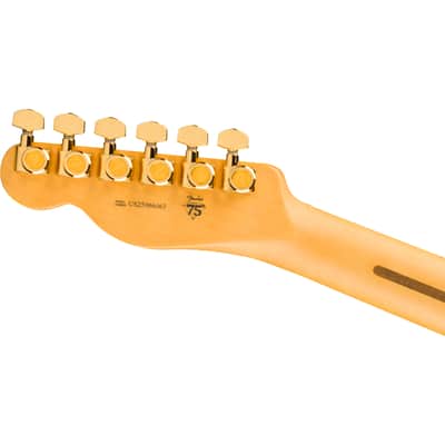 Fender 75th Anniversary American Professional II Custom Telecaster MN 2-Color Sunburst - Electric Guitar image 6