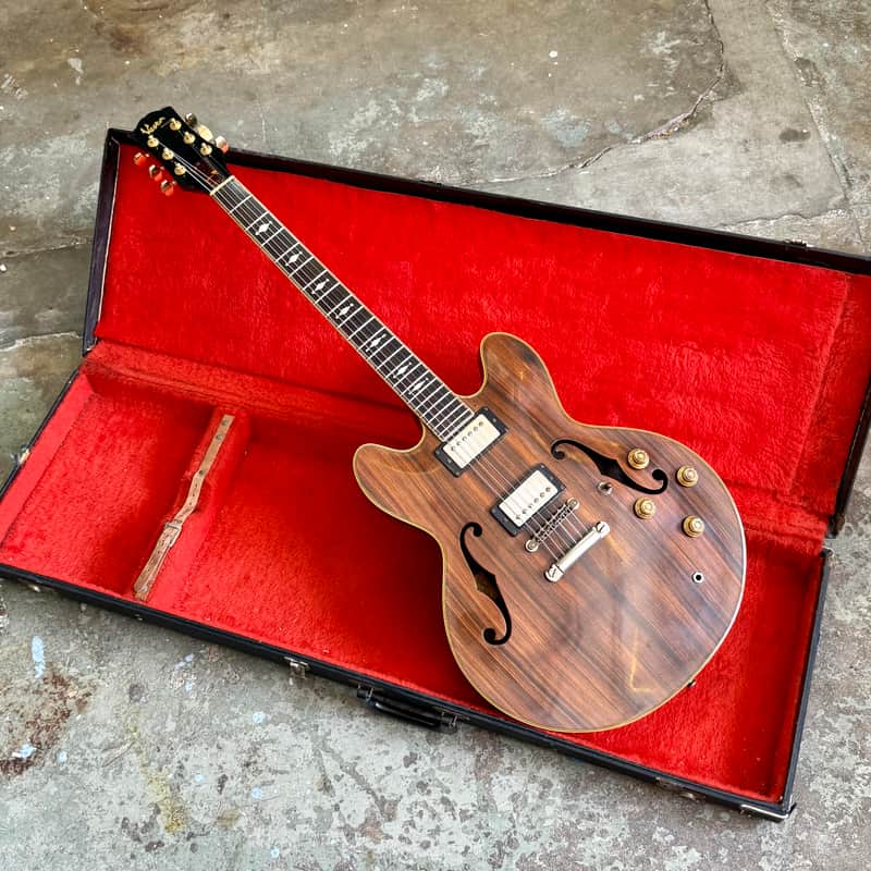 Vesta Graham VG-2450 VGC-1000 1979 - Rosewood original vintage MIJ Japan shiino ESP es-335 image 1