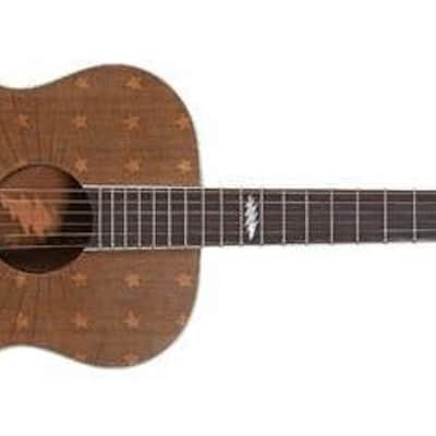 Alvarez AF65GD/F 50th Anniversary Grateful Dead Flag Acoustic