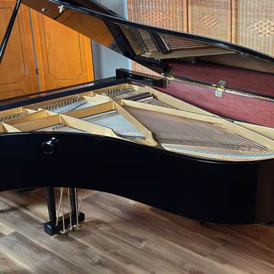 Schimmel Model 208 Limited Edition 89/250 1988 - Ebony Polish imagen 3