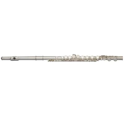 Stagg WS-FL111 C Flute Closed Holes Offset G Split E w/Soft Case, Cleaning Swab, Cloth & Gloves image 3
