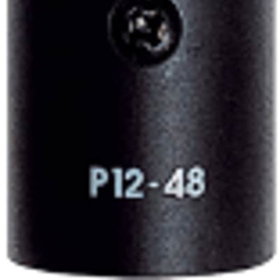 AKG C391 B High Performance Condenser Microphone image 2