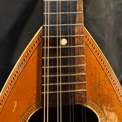 American conservatory Lyon & Healy Bowl Back mandolin - Early 1900s  - Brazilian Rosewood - All Org. - Great Player - Ships FREE!!! image 7
