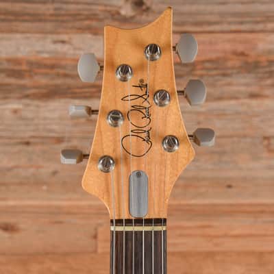 PRS Silver Sky John Mayer Signature Frost 2018 image 6