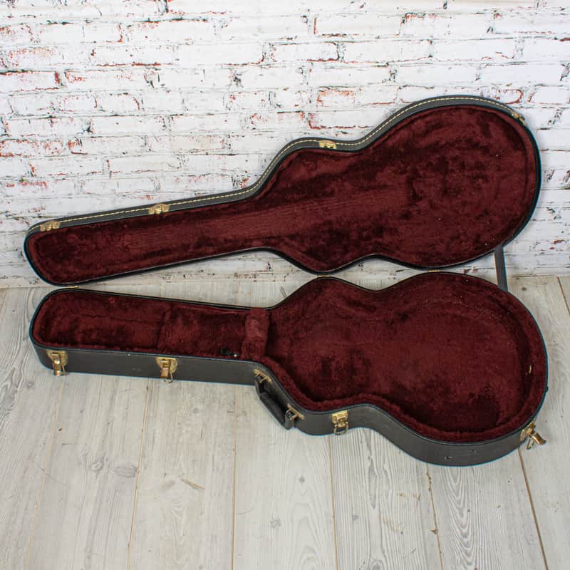 Eastwood - Hollow Body Hard Shell Case Black - USED image 1