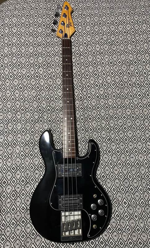 Peavey T-40 with Rosewood Fretboard
