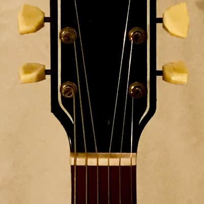 Supro Coronado 1959 Black image 3