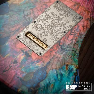 ESP Exhibition Limited EX24-02 Snapper Custom Shop 2024 - Multiple Colored Stabilized finish w/Super Natural/See Thru Black image 5