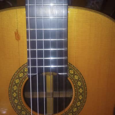 Tama TC10 1978 - Cashew varnish image 17