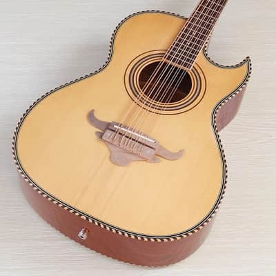 Handmade Custom 10 String Acoustic Electric Guitar, Solid Spruce Top Body, Mahogany Neck - Wood Color image 1