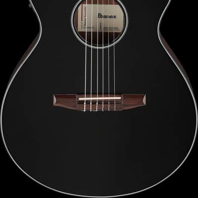 Ibanez AEG50N-BKH AEG Nylon String Guitar 6-String - Black High Gloss image 16